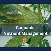 Cannabis Nutrient Management