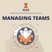 Managing Professional Work Teams