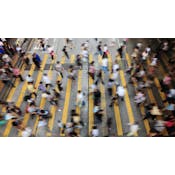 Market Equilibrium, Government Policy & Elasticity